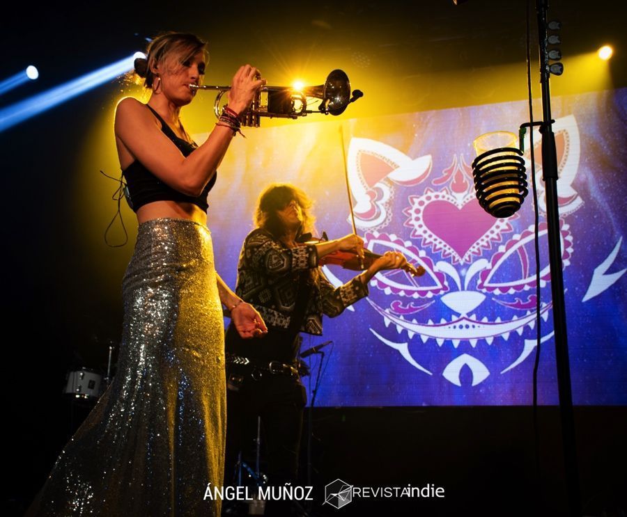 JENNY AND THE MEXICATS